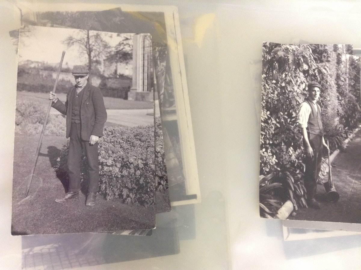 leonie_paterson's tweet photo. #archive30 #day19 #favouritetool - we have this folder in the archives @thebotanics that i love- full of photos of Hort staff and their tools c.1900. My favourite is the slasher in the 1st photo- apparently used for, you know..., slashing stuff? Stuff that needs slashing? https://t.co/uk65K3h3oo