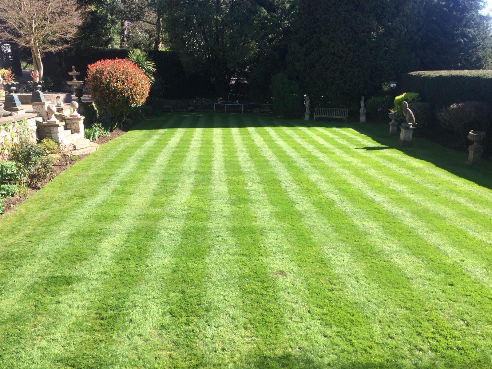 The Ground Team on X Fresh cut grass and spring flowers look fabulous on this lovely sunny day Just one of our gardens ready to enjoy for the weekend. oxted gardening https t NWB08sLsWK