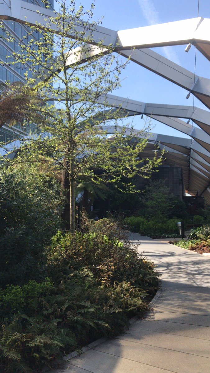 A toasty 28° degrees! We are loving the tropical temperatures at the Crossrail Place Roof Garden today 😎