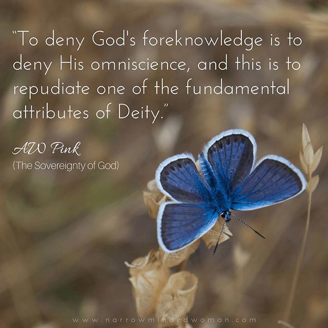 NarrowMindWoman's tweet image. “To deny God's foreknowledge is to deny His omniscience, and this is to repudiate one of the fundamental attributes of Deity.” ~ AW Pink (The Sovereignty of God)
•
•
•
#foreknowledge #doctrineofelection #doctrineofforeknowledge #doctrine #theology #omniscience #attributesofG…
