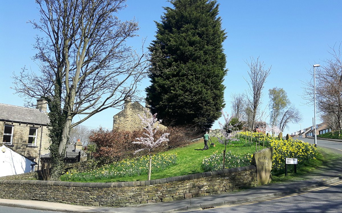 The green space at entrance to Cherry Tree Drive is looking beautiful and well tended to! All these pops of green really add up.