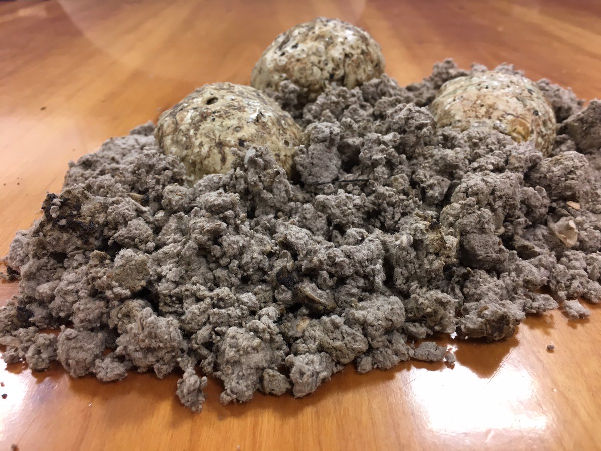 Wilson Bio-Chemical tweet media