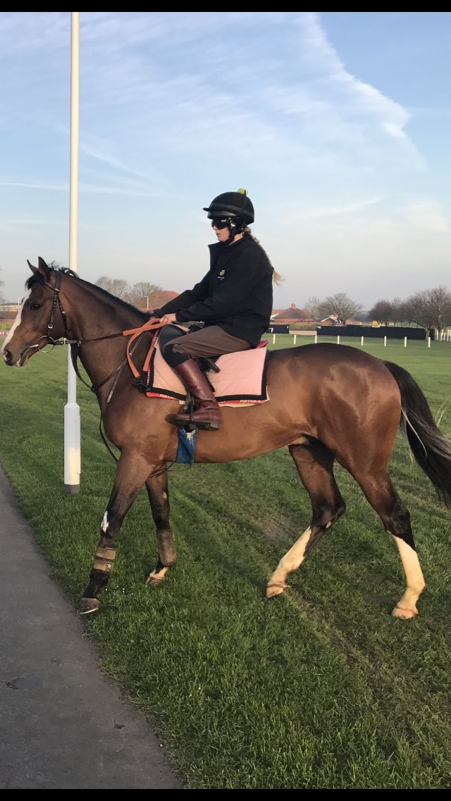 Gay Kelleway Racing On Twitter mukhadram First Runner Finished gay-kelleway-racing-on-twitter-mukhadram-first-runner-finished