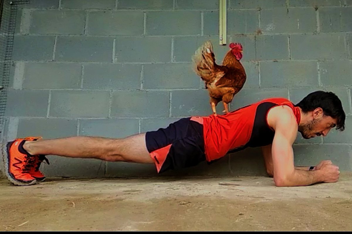 FrancoliAlbert's tweet photo. Avui, per dinar, hi ha #pollastrealaplanxa #polloalaplanxa #fitness #dieta #Training https://t.co/HNfVZqxzYY