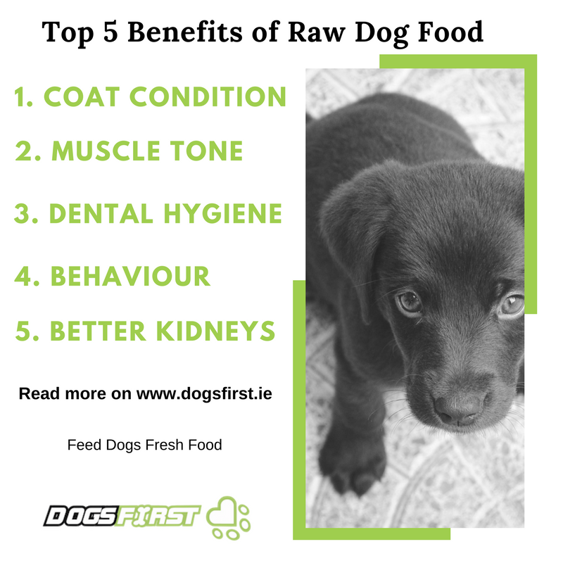 dogs_first's tweet photo. Top 5 Benefits of Raw Dog Food
Read this and more on our blog at https://t.co/y2JSsiXyit
#rawdogfood #feeddogsfreshfood #dogsfirst #rawfeddogs #dogsoftwitter #doglover #doglovers #dogsarelove #loveyourdog #dogs https://t.co/rK5lWSXusM