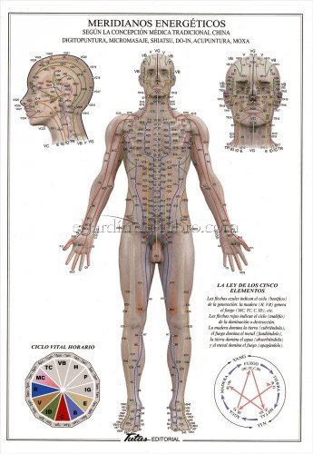 mtlechampion's tweet photo. #Meridians energy#zen#acupuncture# health #chi# energy#acupuncture#MT https://t.co/vnLtSrwT8J