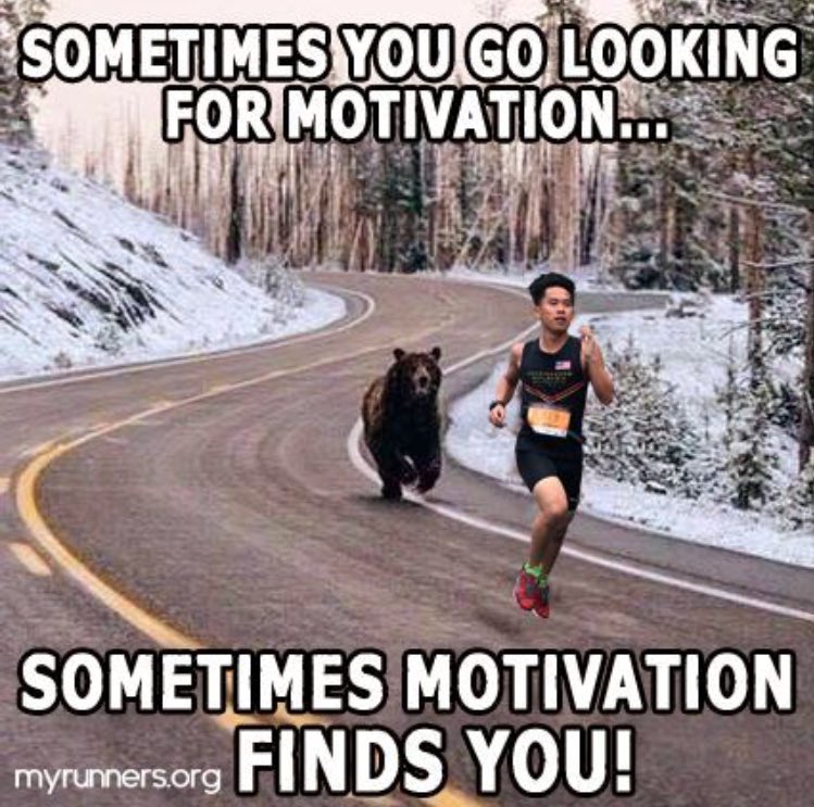 Sam4runner's tweet image. 