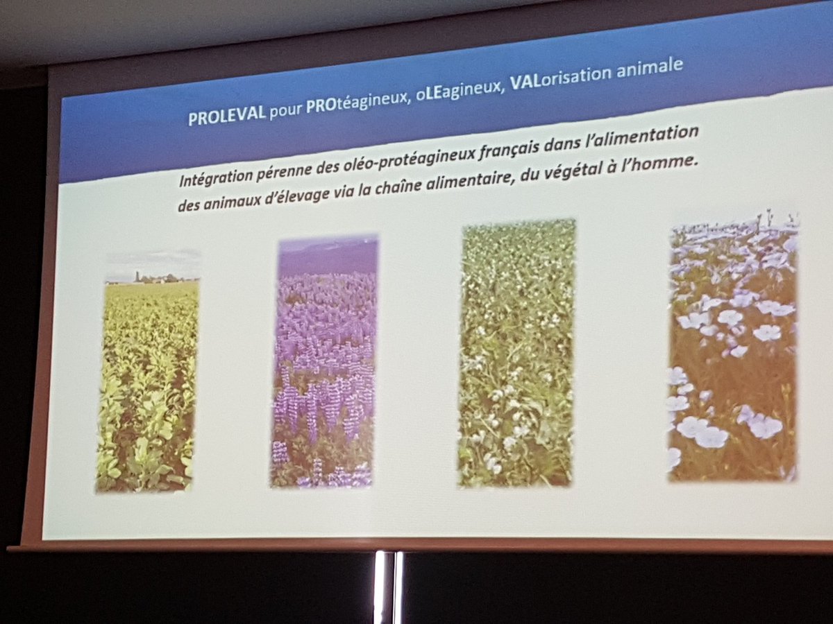 BleuBlancCoeur's tweet photo. #agBBC2018 A partir de quels constats le projet #PROLEVAL a-t-il vu le jour ? https://t.co/TbFmr022QF