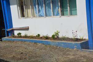 rclo_13's tweet photo. OOA 02:00PM April 19, 2018 personnel of this office conducted clean up drive with in the vicinity of this office @CrimeLaboratory https://t.co/F2V1SWzGDh