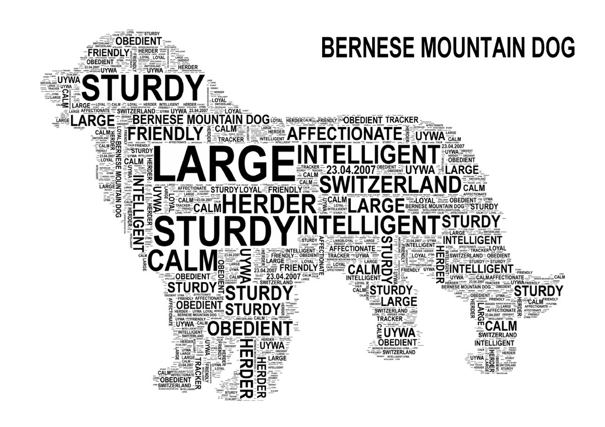 New_World_Vibe's tweet photo. #Dog #VariousBreeds Personalised Print #UniqueKeepsake https://t.co/HdifB5GgpS #QueenOf #ATSocialMedia https://t.co/TYVrdmSq5Z