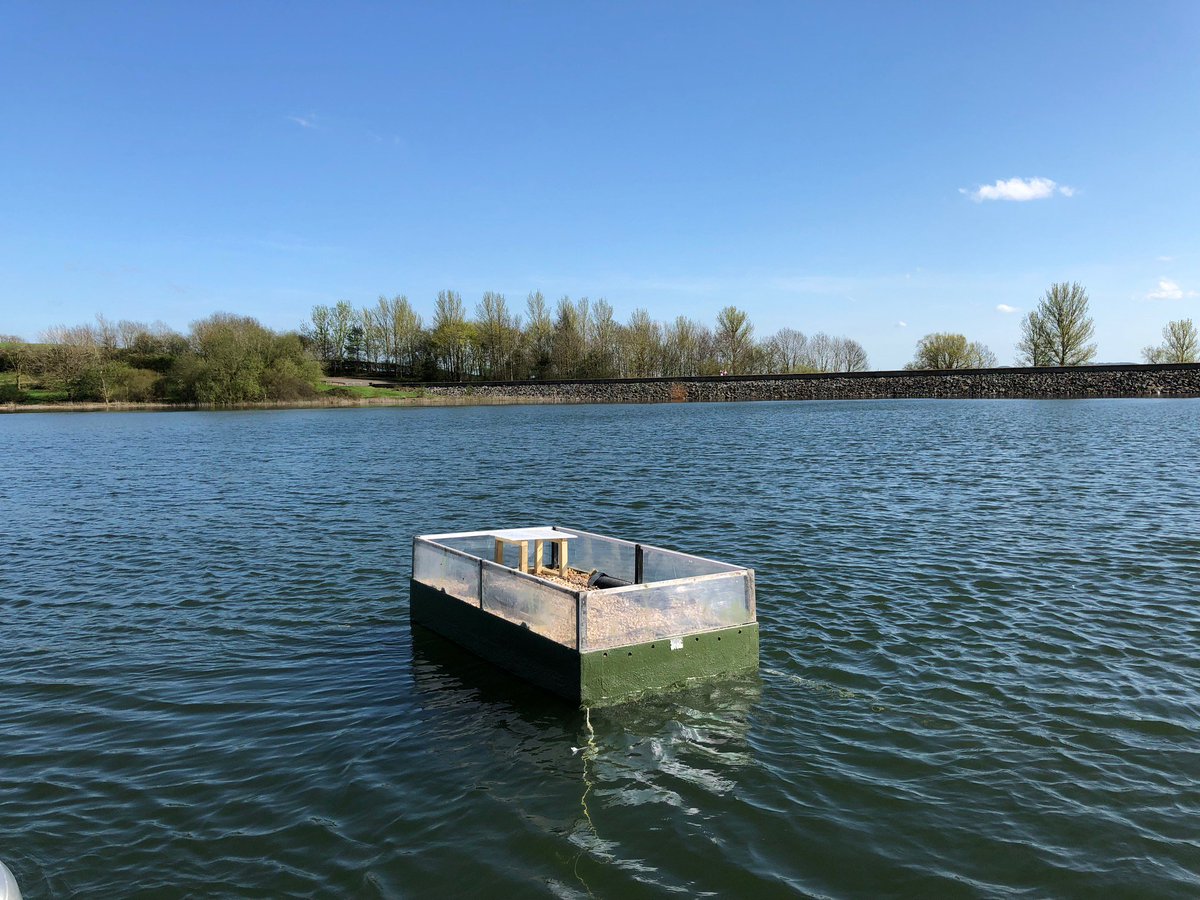 STWDraycote's tweet photo. Big thanks to @DraycoteWaterSC+ @TrainingDWSC for helping us put the #tern raft out this year. #Fingerscrossed. https://t.co/8dOv5hN0nC