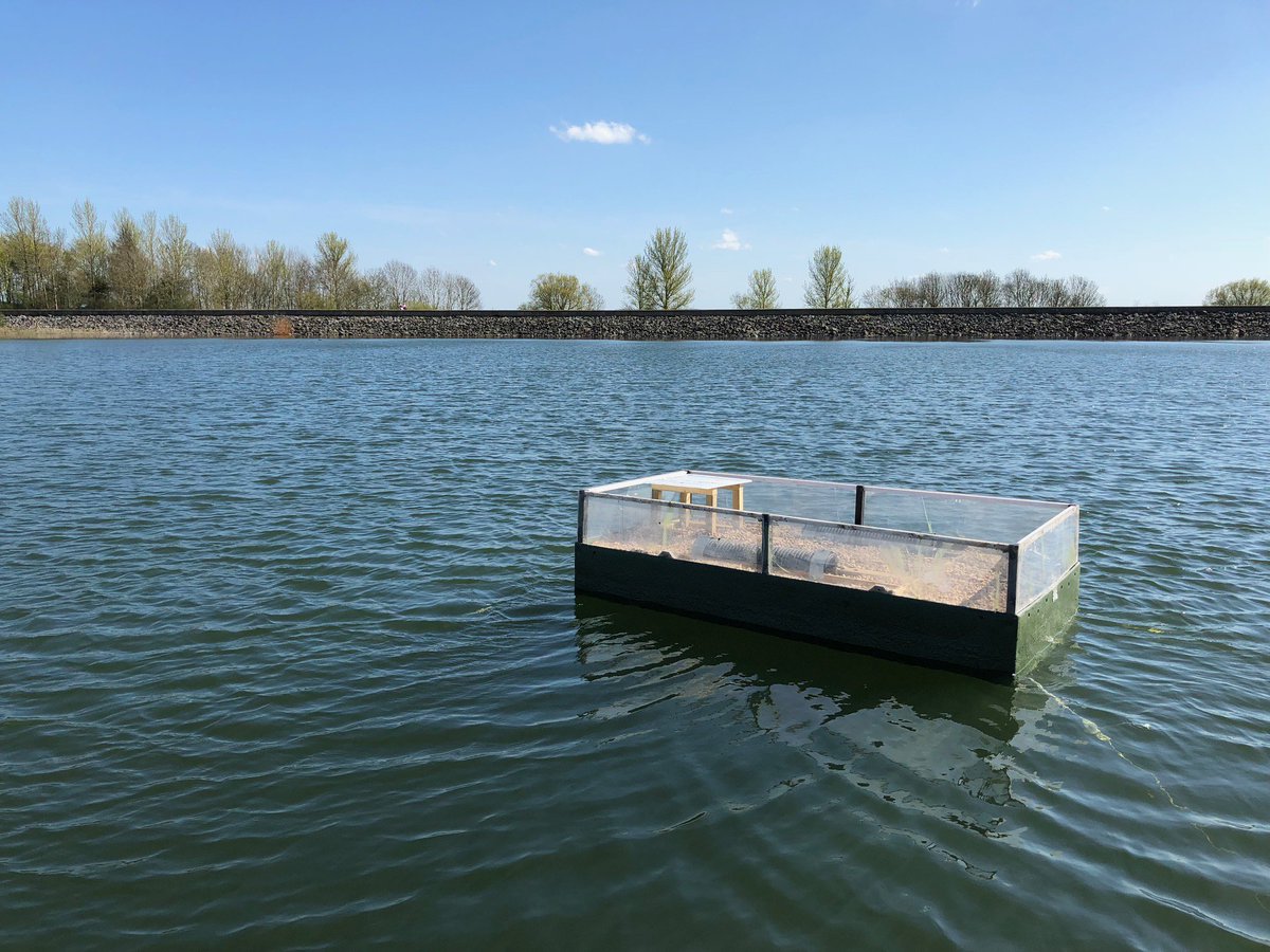 STWDraycote's tweet photo. Big thanks to @DraycoteWaterSC+ @TrainingDWSC for helping us put the #tern raft out this year. #Fingerscrossed. https://t.co/8dOv5hN0nC