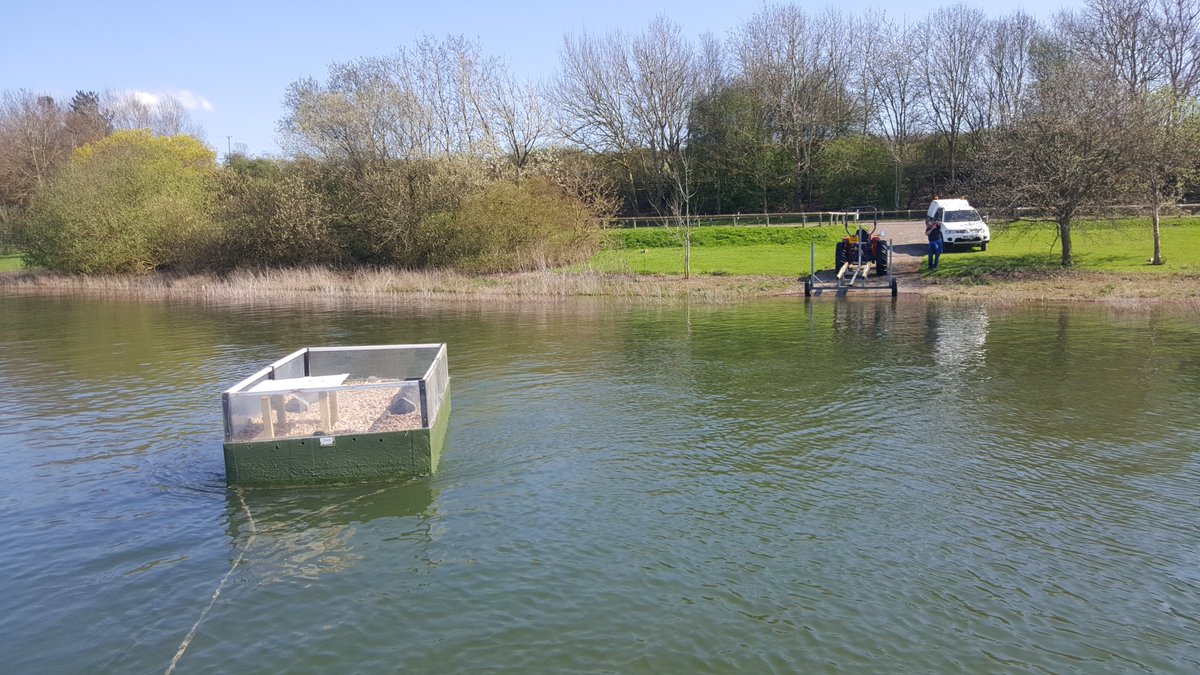 STWDraycote's tweet photo. Big thanks to @DraycoteWaterSC+ @TrainingDWSC for helping us put the #tern raft out this year. #Fingerscrossed. https://t.co/8dOv5hN0nC
