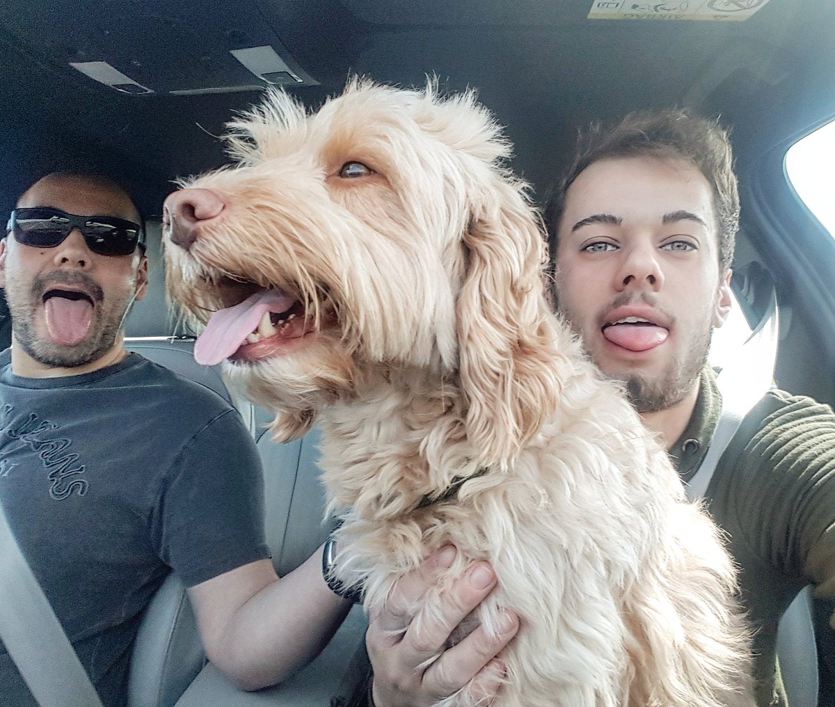 Windows down, music up! Suns out tongues out! 😂🐶👅📸👌 #thefutureisRX
