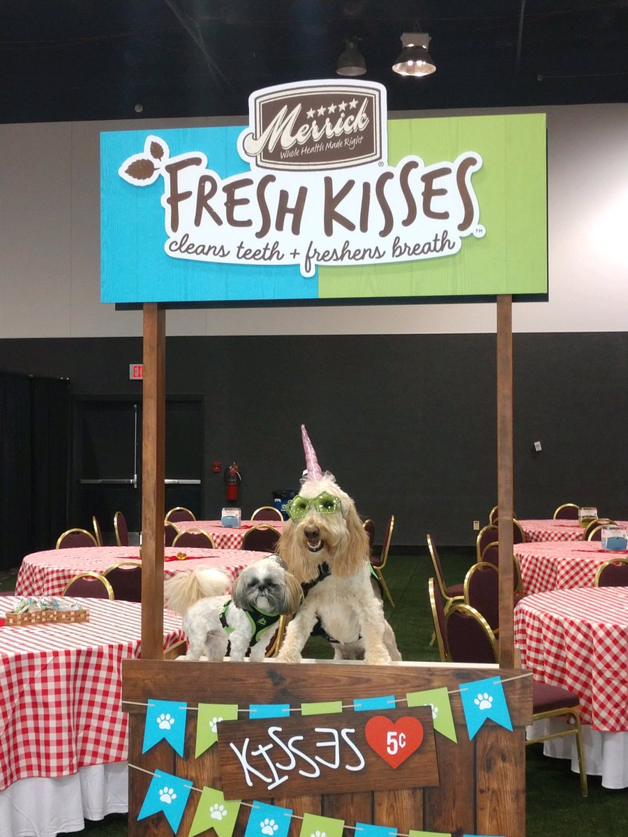 GDUTeam's tweet photo. https://t.co/o1o7AoXhy8 the Boys Visted the #GetFreshKissed booth for some fun!   Thanks @MerrickPetCare, it was great seeing you at #BlogPaws https://t.co/KOw6kj7lgv