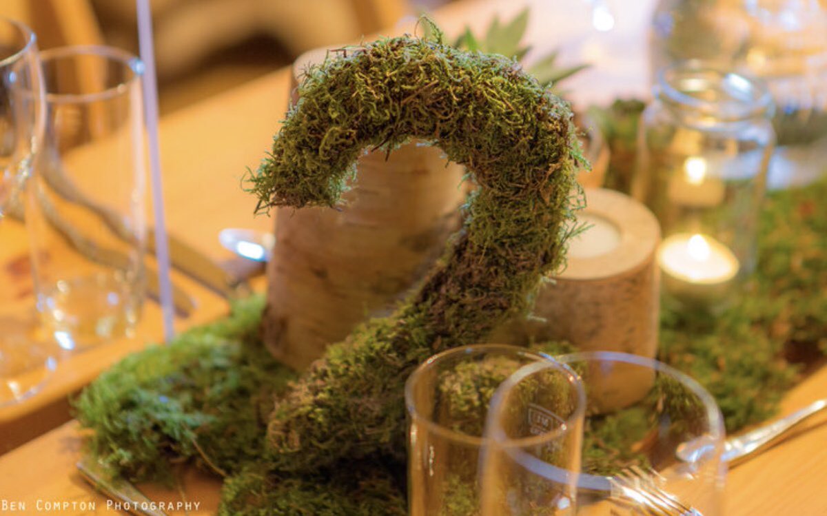RoseHamson's tweet photo. Loving these pics of our mossy tables from the talented @BenComptonPhoto #moss #mossnumbers #silverbirch #tealights #tipi #tipiwedding #21stbirthday https://t.co/VaIny72d6R