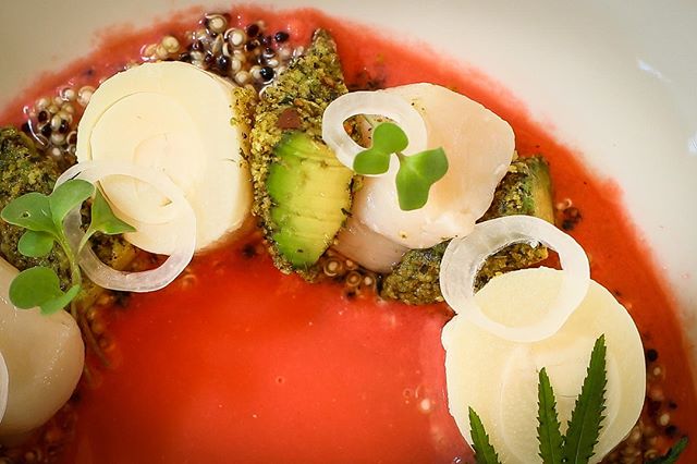 Ostiones con leche de tigre de sandía #cosamasbuena #entradas #saritareloaded Reservas al 📞 2881 3937