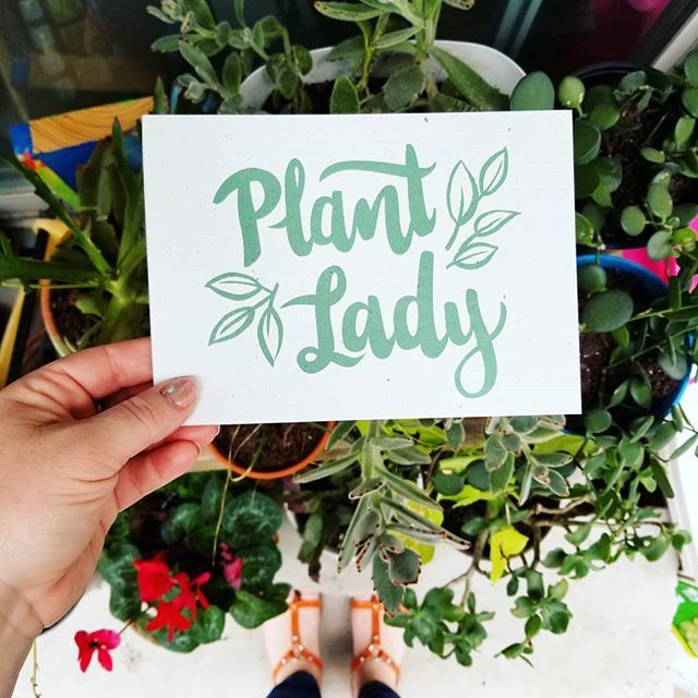 ShopWitty's tweet photo. #PlantLady 🌱⚘🌿🌺🌱🌻🌾 https://t.co/rc0tPyd64C https://t.co/7ssWcdnyTT