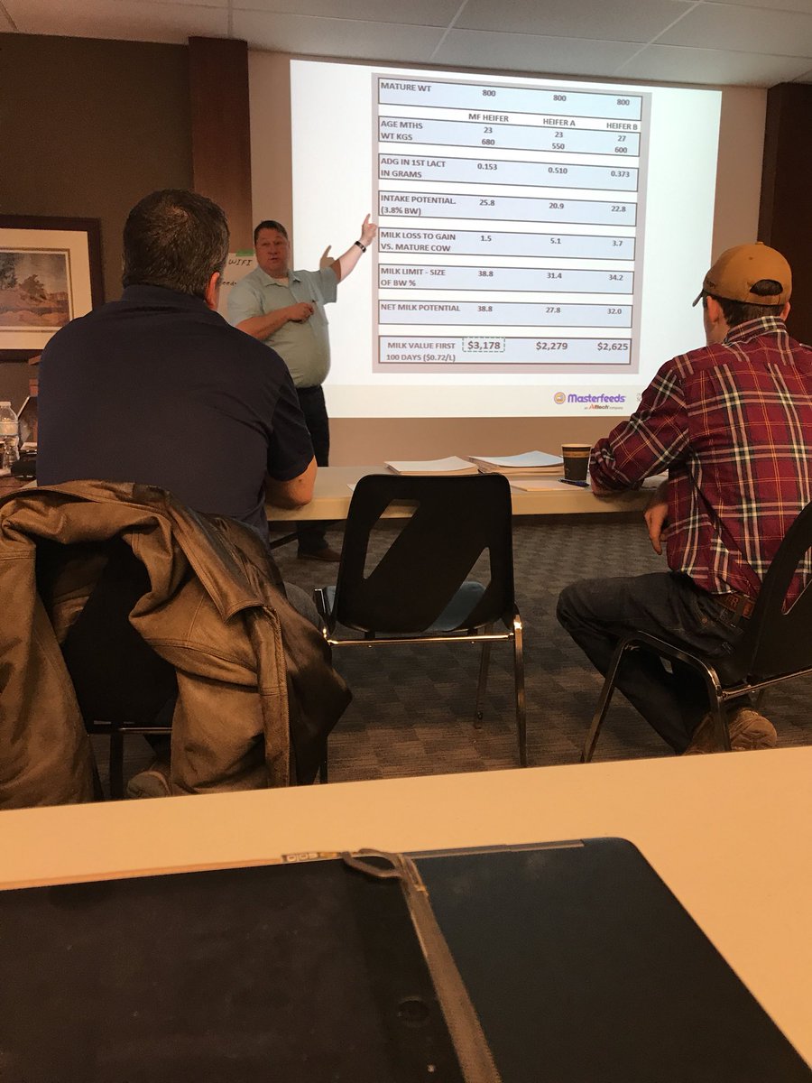 @MasterfeedsCDN <a href="/MarkTheFeedman/">Mark Schokking</a> presenting calf data <a href="/Alltech/">Alltech</a>