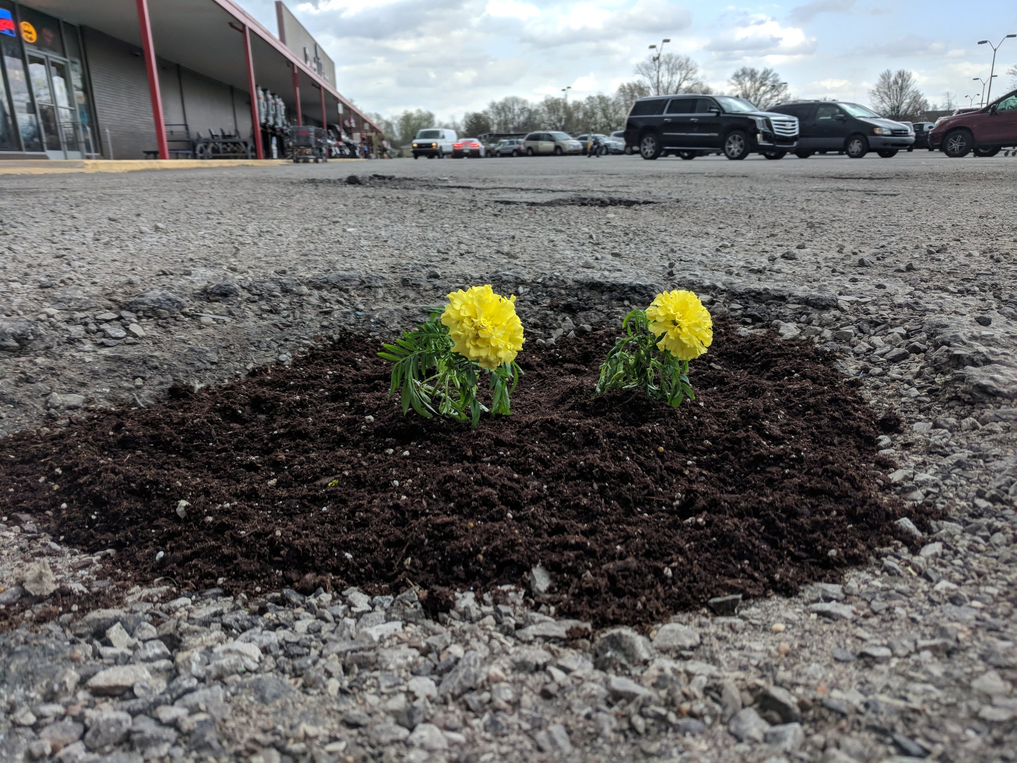 Zach Evans on Twitter "Someone put the pothole in the Rural