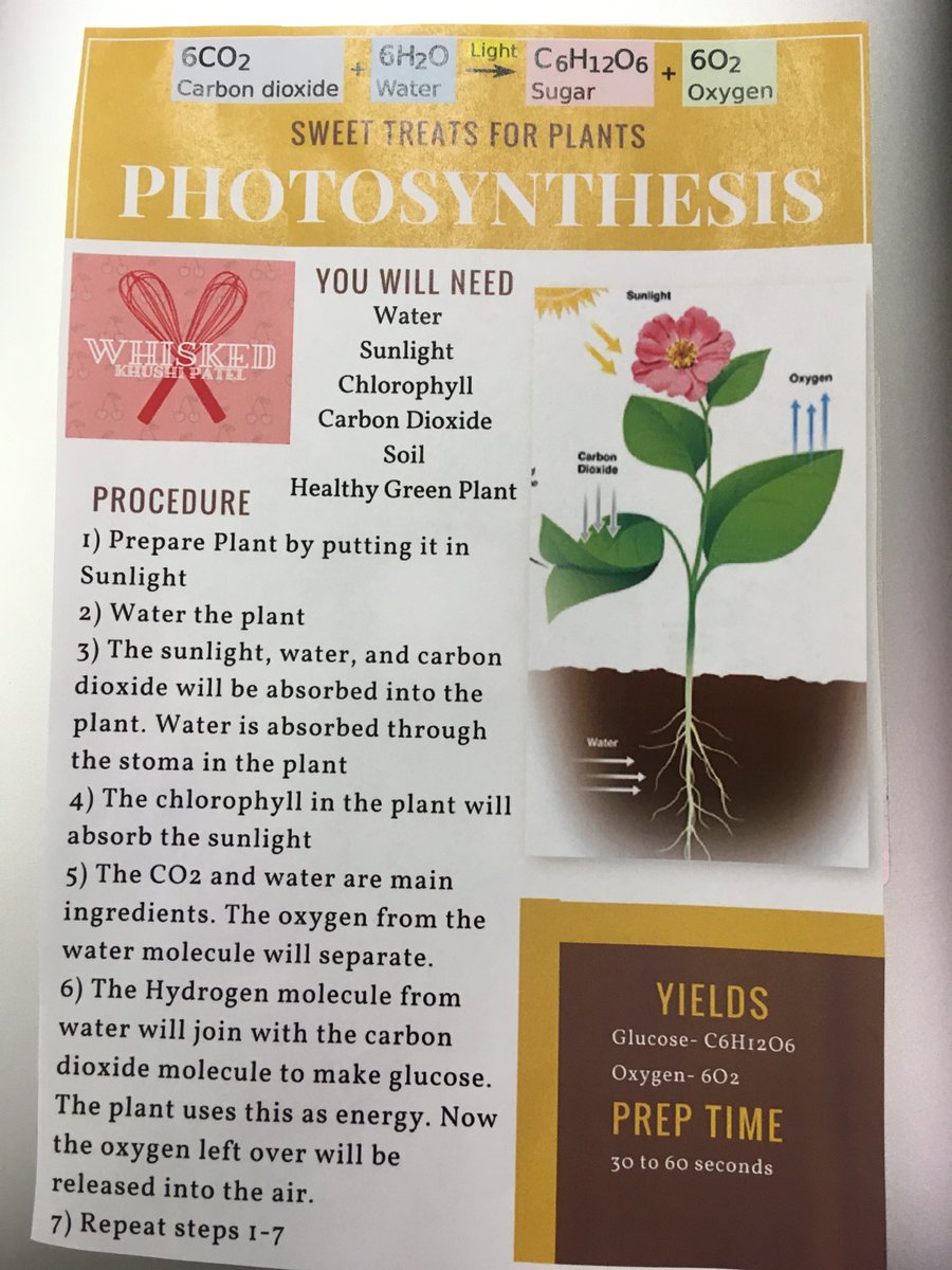 wittymcwit's tweet photo. Making recipe cards for photosynthesis!
@CCSD93 @jaystreamIC @JayStreamPBIS @Jayactivities https://t.co/0rzW3oGm98