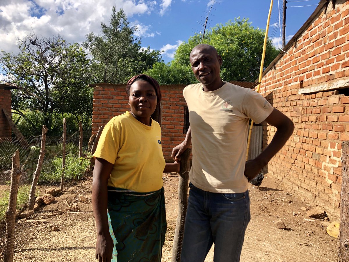 CSEF2_Zambia's tweet photo. This couples farm is thriving! The family plan & budget together and have used profit from agroforestry to expand livestock business #Kachere https://t.co/6xggEH768Z