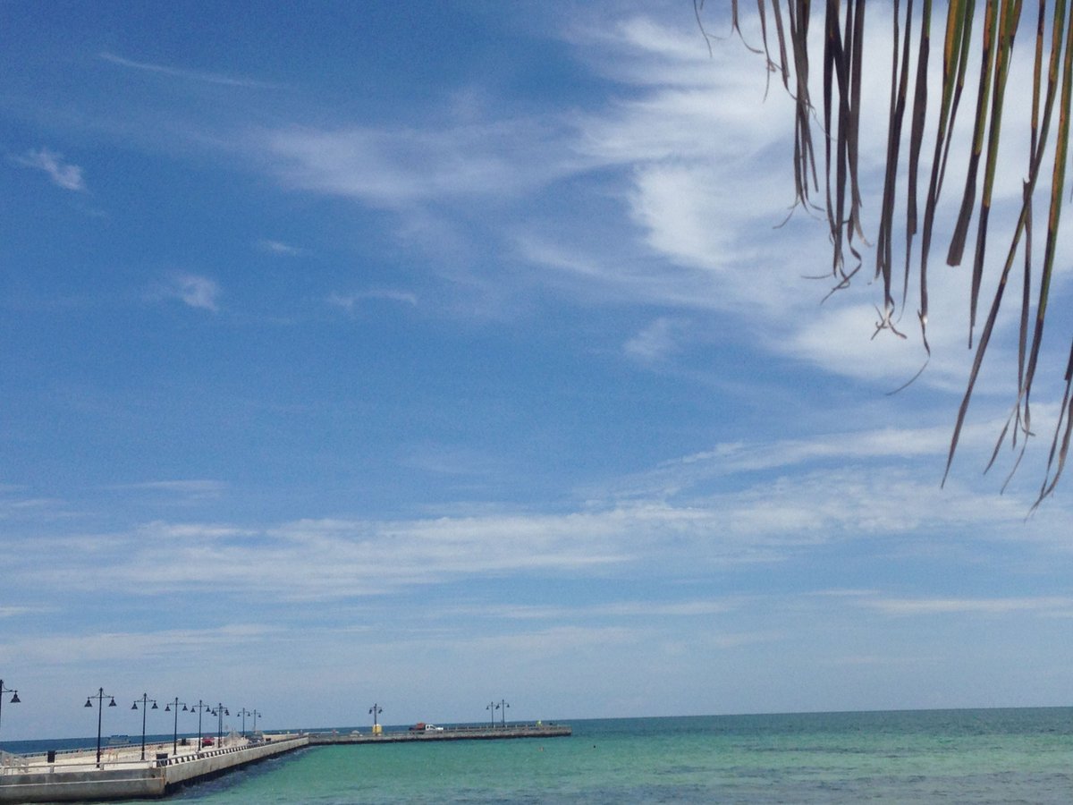 MarquesaHotel's tweet photo. Nothing beats the fresh smell of #salty air. #smelltheroses
#islandtime #GetOnIslandTime #KeyWest #ThursdayThought #ThursdayMotivation #keytolife https://t.co/VISkyWhca0