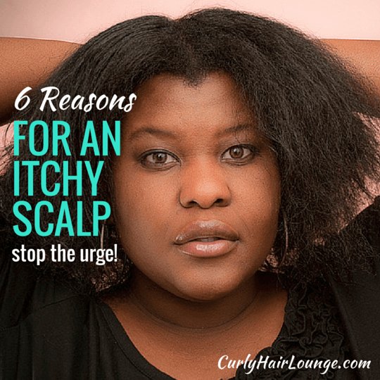 6 Reasons WHy Your Scalp Your Scalp Is Itchy. buff.ly/2JTI3zq #bblogger #naturalhair #curlyhair #itchyscalp #haircare
