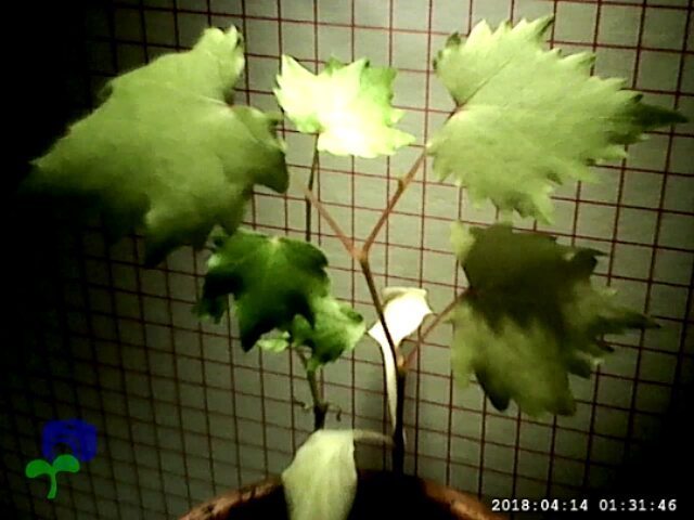 conceptiasis's tweet image. Another useless video. ift.tt/2vuR6U7