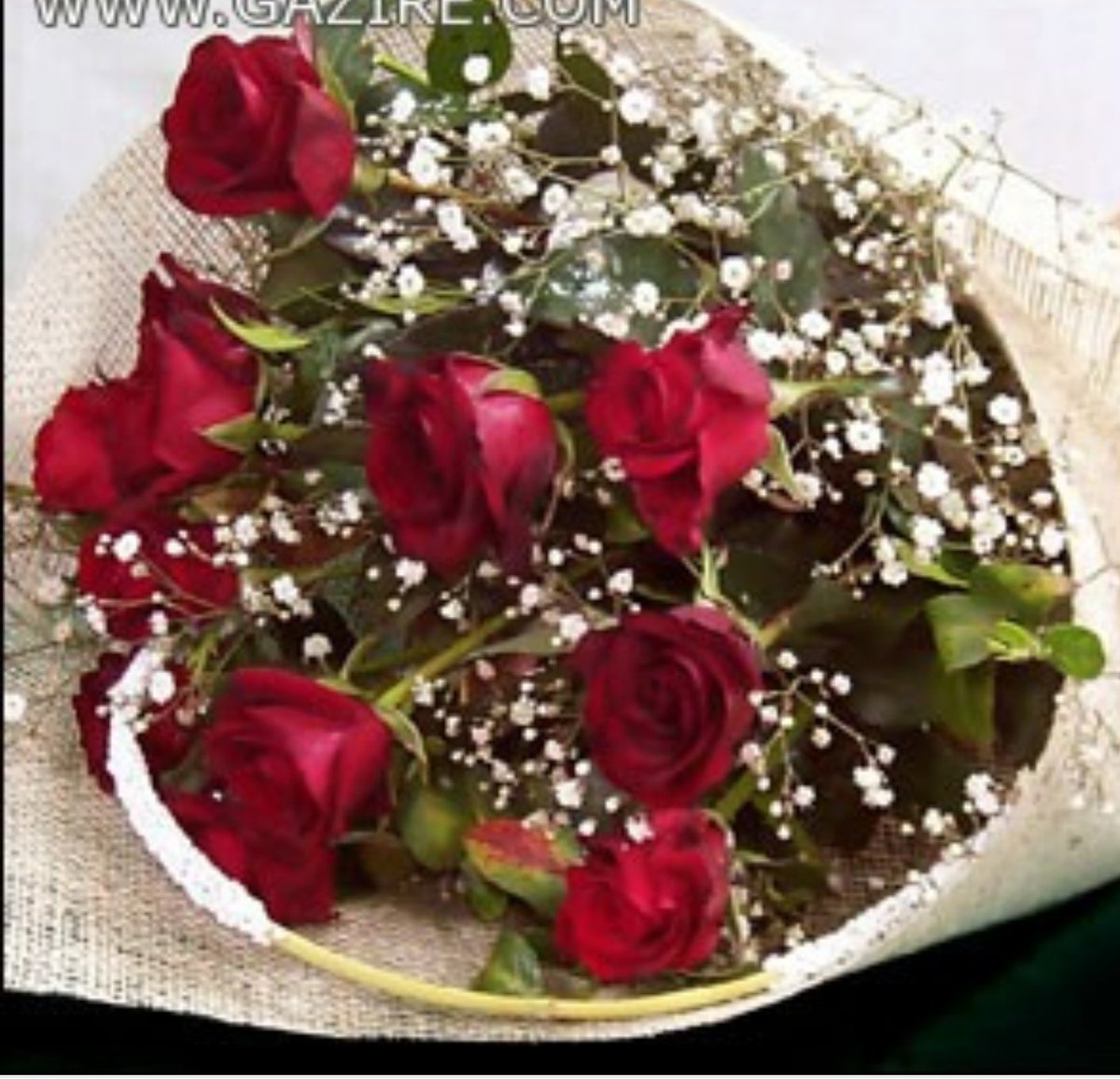 qsx06's tweet photo. @ttiiff0 @BentAbooha94 الف مبروك https://t.co/OCt6G5ksSW