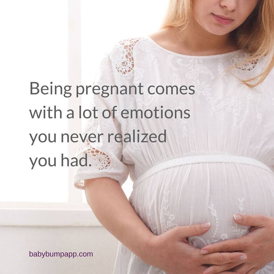 Baby Bump tweet media