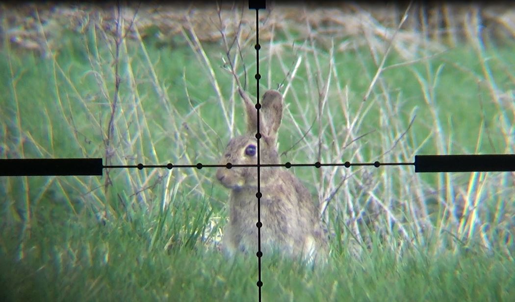 We're out hunting rabbits with the scope-cam in this week's show at youtube.com/watch?v=vuQWAj…
#airgun #hunting