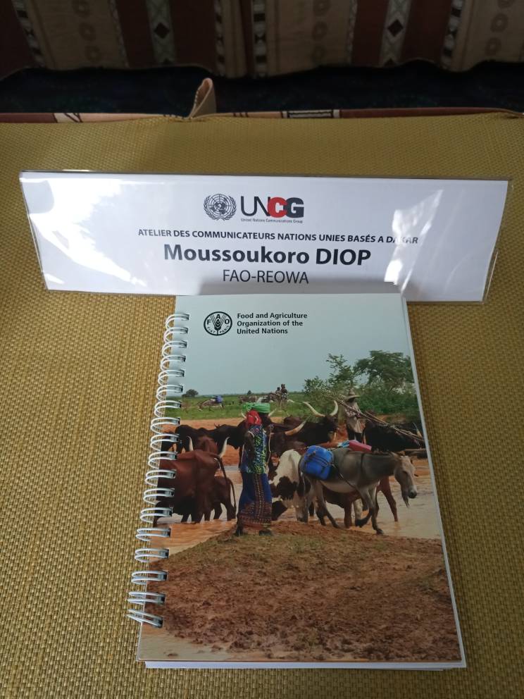 Coumba D. Sow (@coumbadsow) on Twitter photo Moussoukoro Diop <a href="/mamouchkadiop/">Moussoukoro Diop 🇸🇳</a> Experte Communication digitale de <a href="/FAOWestAfrica/">FAO West Africa</a> et @FaoSenegal contribue à la réunion des experts communication de <a href="/OnuSenegal/">ONU Sénégal 🇺🇳</a> sur les #TICs et les réseaux sociaux au service des Nations Unies et leur importance pour mieux atteindre nos objectifs Moussoukoro Diop <a href="/mamouchkadiop/">Moussoukoro Diop 🇸🇳</a> Experte Communication digitale de <a href="/FAOWestAfrica/">FAO West Africa</a> et @FaoSenegal contribue à la réunion des experts communication de <a href="/OnuSenegal/">ONU Sénégal 🇺🇳</a> sur les #TICs et les réseaux sociaux au service des Nations Unies et leur importance pour mieux atteindre nos objectifs