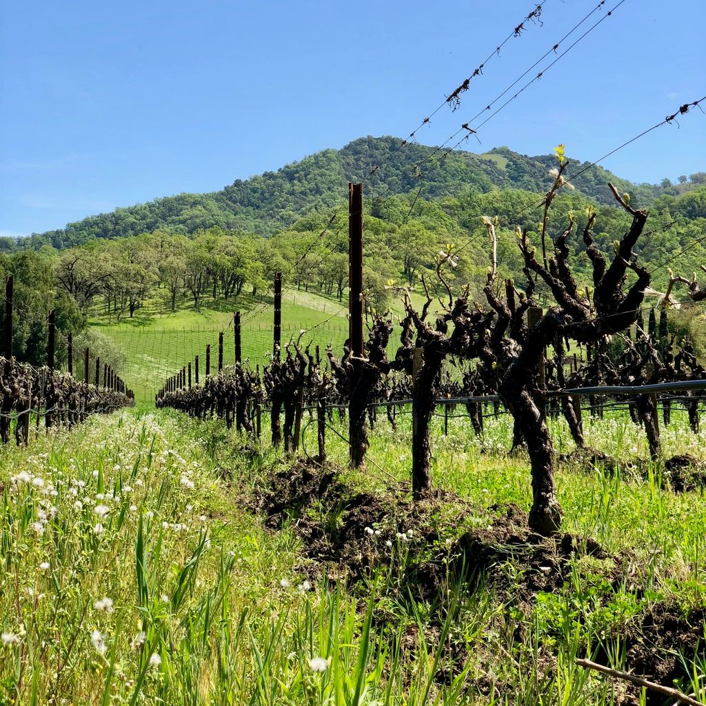 Cheers to a season of organic growth. #mindful #bonterra