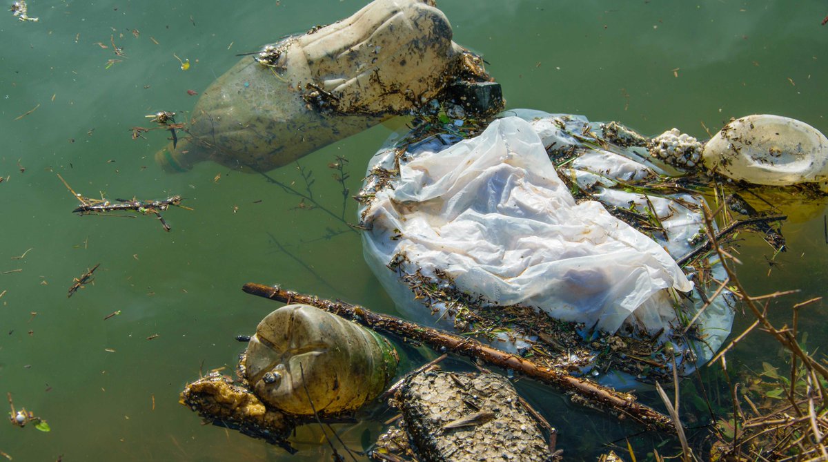Hvert år havner 8 millioner tonn plast i havet. Det er som om en full søppelbil tømmer 15 tonn plast ut i havet hvert minutt av hvert døgn året gjennom.

Regjeringen prioriterer tiltak mot plastforsøpling høyt. Her kan du lese hva vi gjør: hoyre.no/aktuelt/nyhete… #nrkdebatt