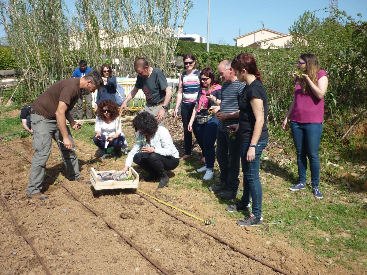 MontseAulinas's tweet photo. [FIL] Fantastic visit at #HortEcosolidari @univgirona #planting #tomatoes #compost #organicfertilizer #EcologicalProduction #permaculture https://t.co/pVpmejiyA5 https://t.co/y579ojzvpu