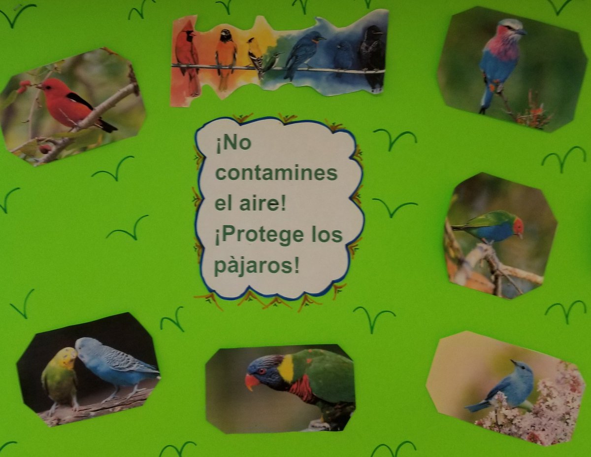EBPublicSchools's tweet photo. EBHS students in Señor Borden's Spanish classes are studying environmental science. 4/22 is Earth Day and his students have explored how to discuss its significance, explore problems and offer solutions! #Earthday @EBHSprinc  #EBPSWorldLanguages @EBPublicSchools @EBPSrchang https://t.co/KqXodIBjnk