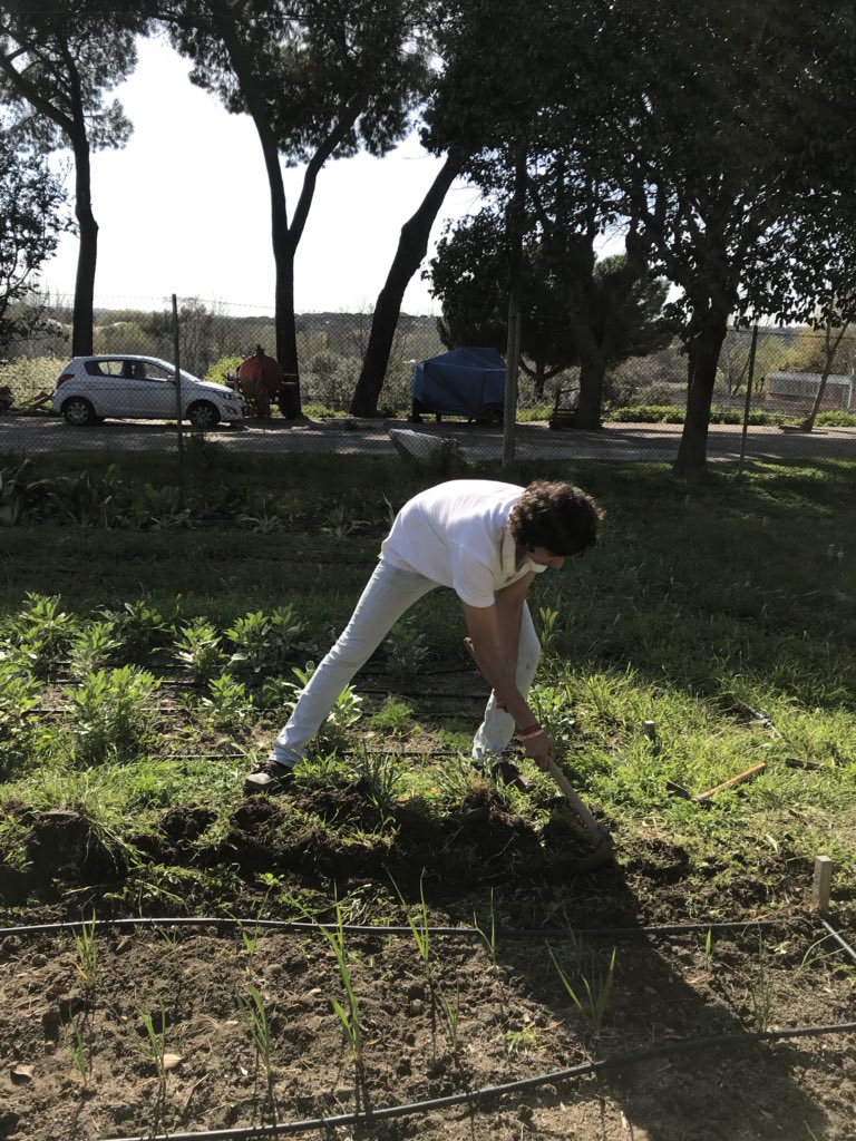 Meribasagoiti's tweet photo. Taller huerto ecológico #ingAgr @etsiaab https://t.co/elV0xkI5Bx