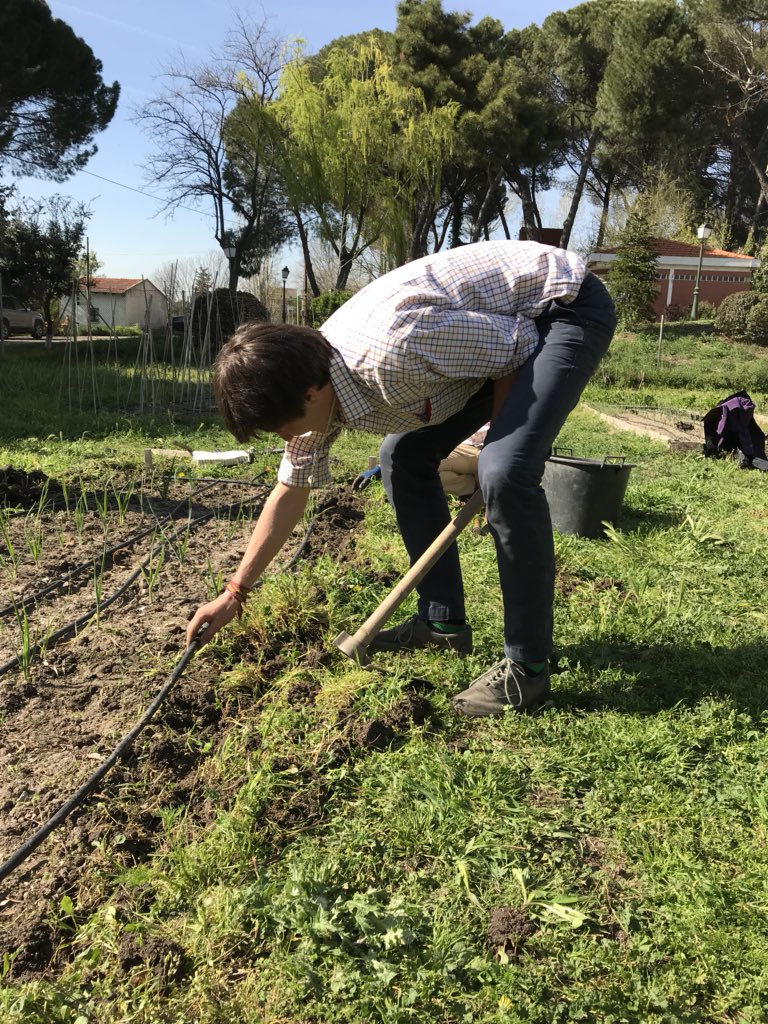 Meribasagoiti's tweet photo. Taller huerto ecológico #ingAgr @etsiaab https://t.co/elV0xkI5Bx