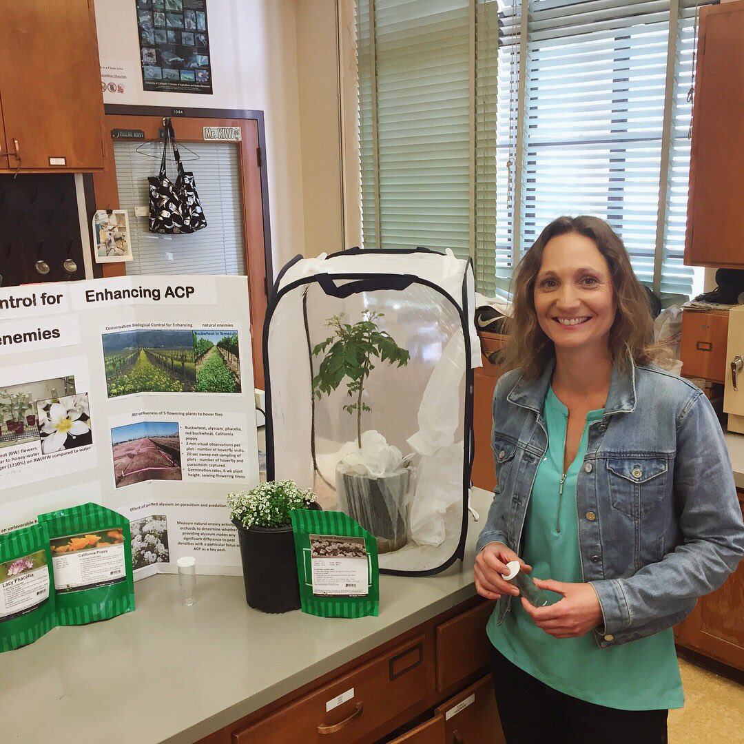 InsectFair's tweet photo. Nic (@UCRentomology) is showing us some natural enemies of Asian citrus psyllid in CA which can potential help Huanglongbing disease. Want to know more about natural enemies in your #garden and how to enhance them? Come to our Insect Fair at Riverside downtown on April 28, 2018! https://t.co/PMM8lZvS1j