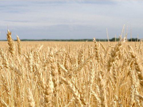 New Legislation to Encourage Value-Added Agriculture Investment dlvr.it/QQ6W3Y https://t.co/zU9y29S400