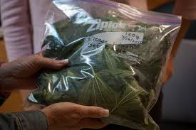 Freeman806's tweet image. Work hard and sleep tight