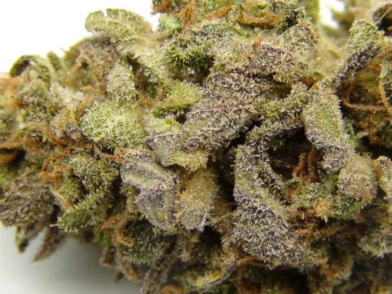 Freeman806's tweet image. Work hard and sleep tight