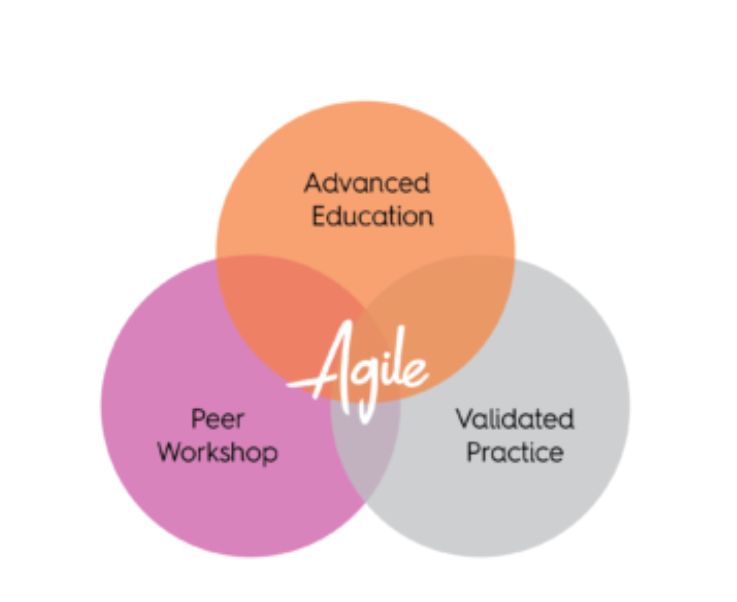 CenterAgileLead's tweet photo. The 3 areas that will help you take your leadership to the next level are listed on this image. We are passionate about helping people grow and we will be taking it to the next level in our CAL II classes this year! #CALII #agileleaders #leadership #learnlovelead https://t.co/bNpY60DEhM