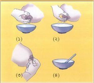 মায়ের দুধ গেলে বের করার নিয়মাবলী healthbanktips.com/%e0%a6%ae%e0%a…