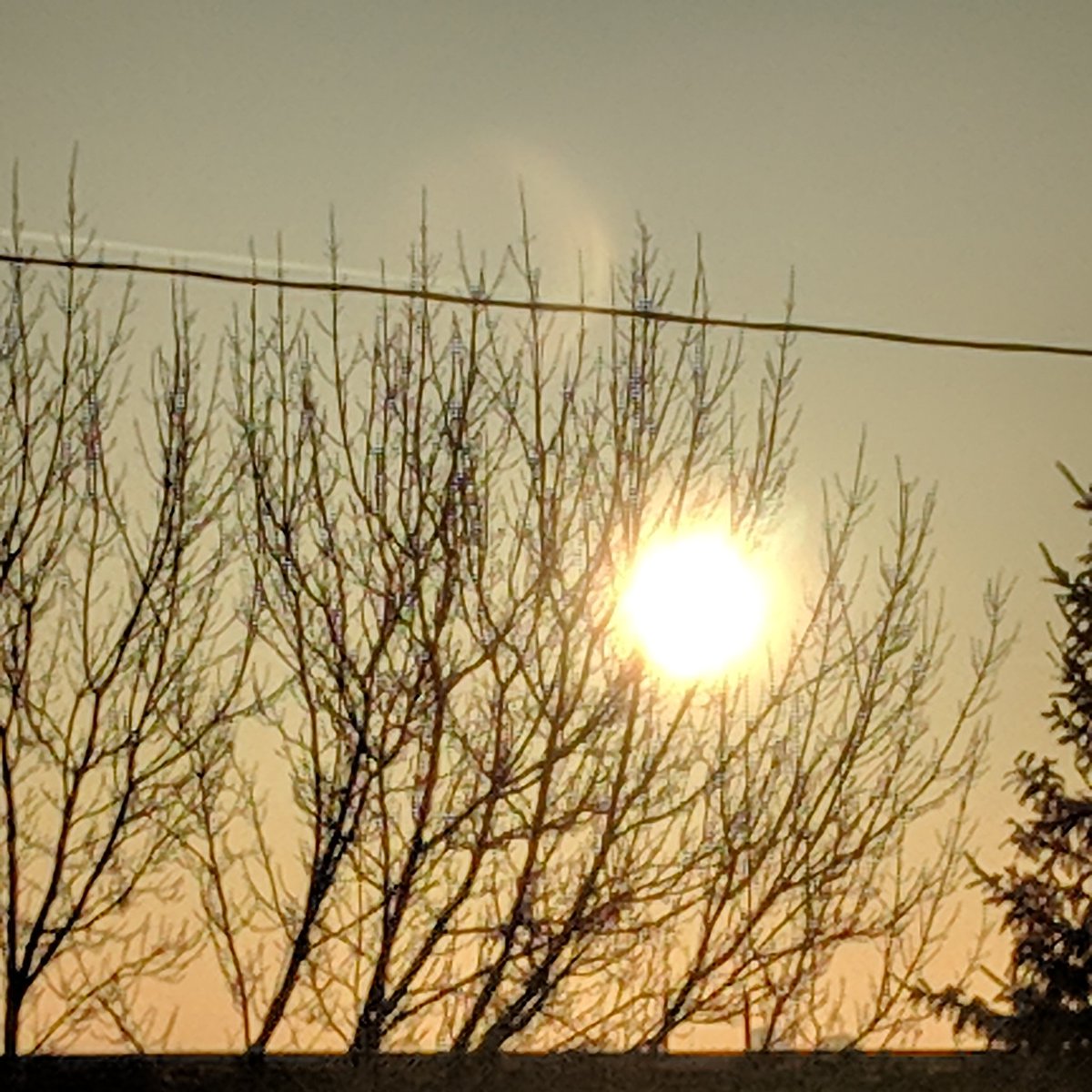 Arynbats's tweet photo. Nibiru in Edmonton, Alberta, Canada April 19, 2018 at 7:23 am.
Photography by Aryn Bats https://t.co/Uo84IVqMuO