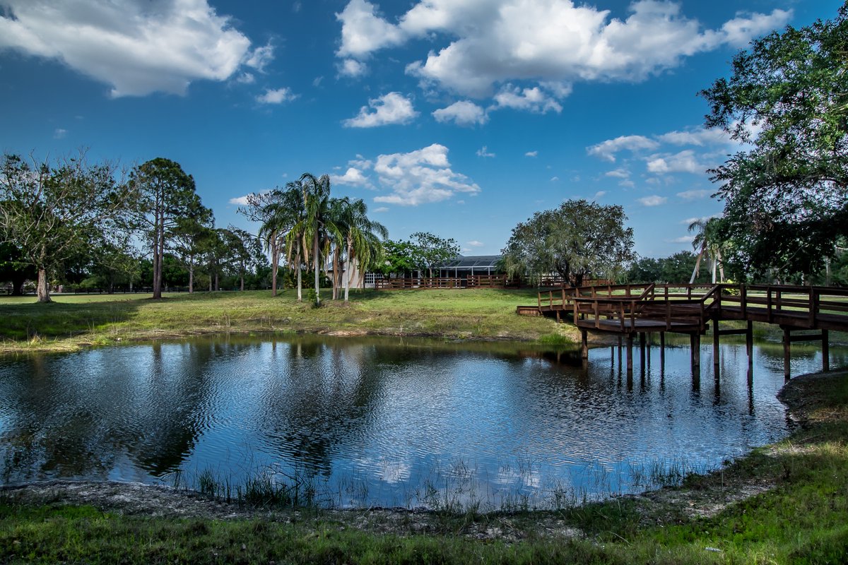 Bittner_Realty's tweet photo. An amazing country estate! 🏘️ This 3,576 Sqft heated pool home is sitting on 5.9 Acres, within the property you have plenty of mature trees 🌲 a beautiful pond in the back yard with a bridge to stand on and admire the landscape #RealEstate #Puntagorda #Florida #LuxuryRealEstate https://t.co/aXNelxAuEX