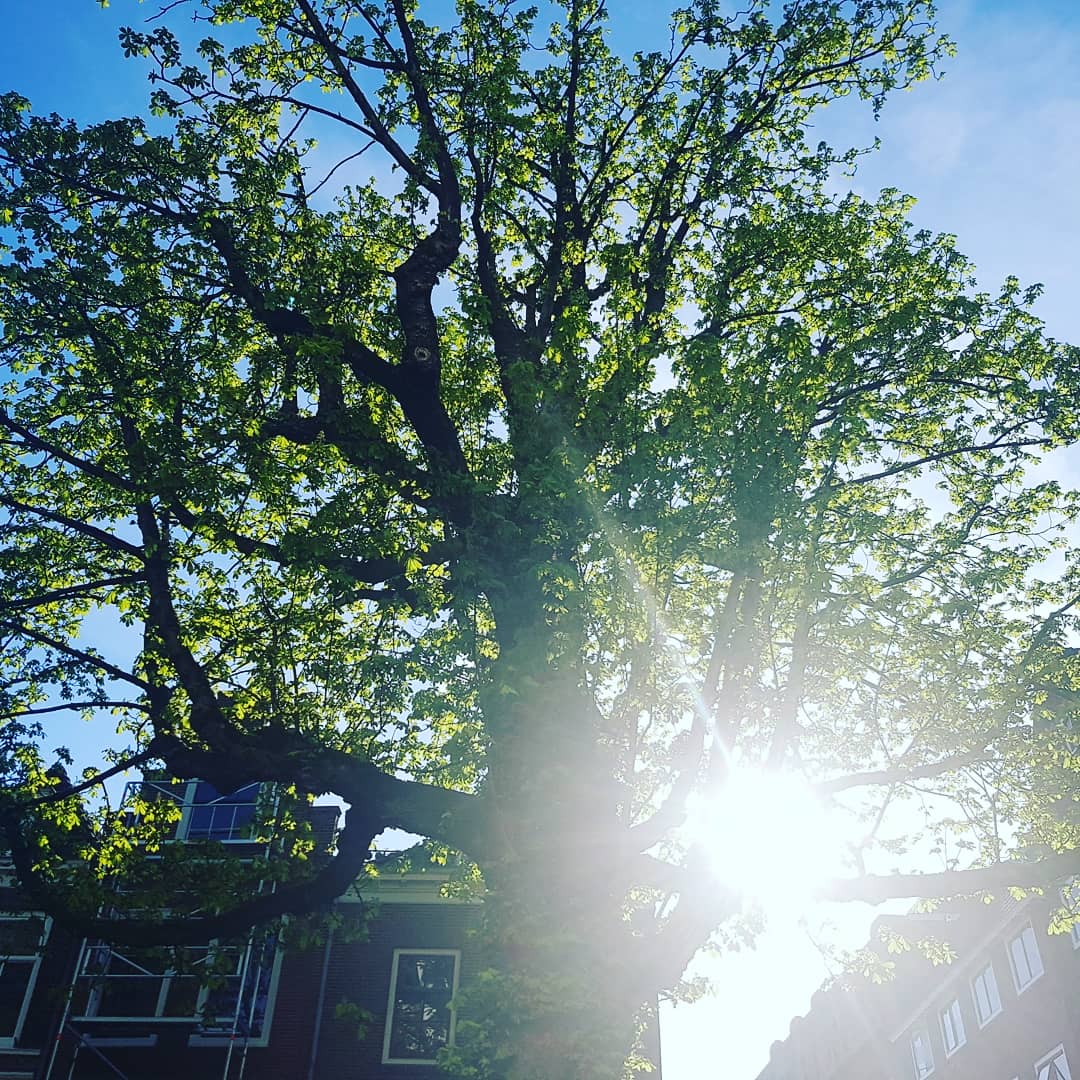 We're back in  business! 
#BBQ