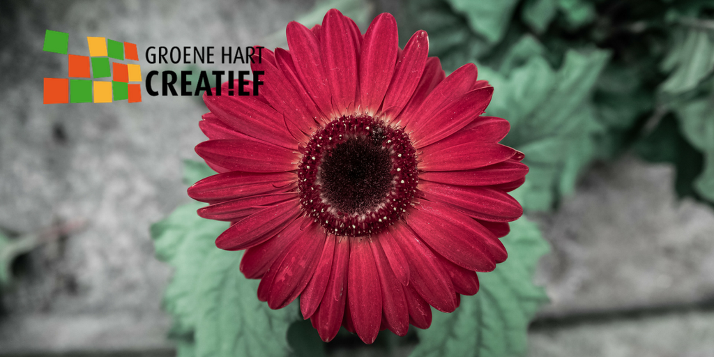 Zin om wat leuks te doen in het Groene Hart? Dit staat er op de agenda: groenehartcreatief.nl/agenda.html