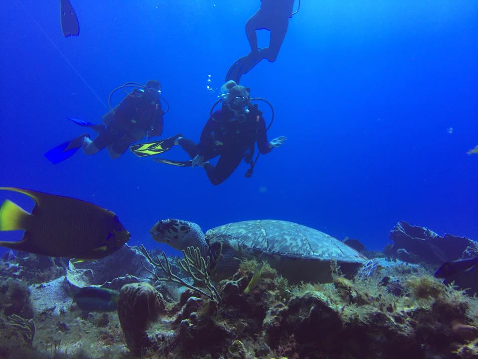 ScubaTony_CZM's tweet photo. #CaptionThis #captioncompetition #bestcation
#cozumel #island #vacation #travel #scubatony https://t.co/Nu69plAyTb